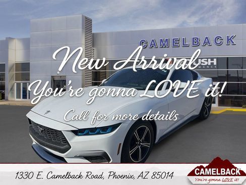 Used 2025 Ford Mustang Coupe RWD image 1