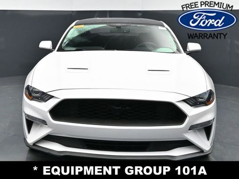 Used 2019 Ford Mustang Coupe w/ Equipment Group 101A RWD image 4