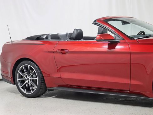 Used 2019 Ford Mustang Premium w/ Equipment Group 201A image 4