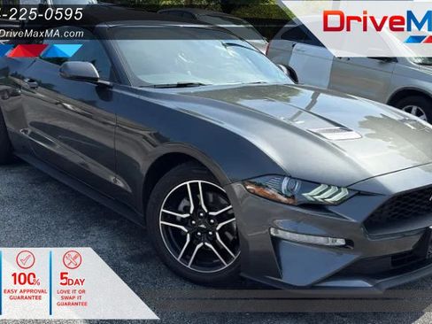 Used 2020 Ford Mustang Premium RWD image 1