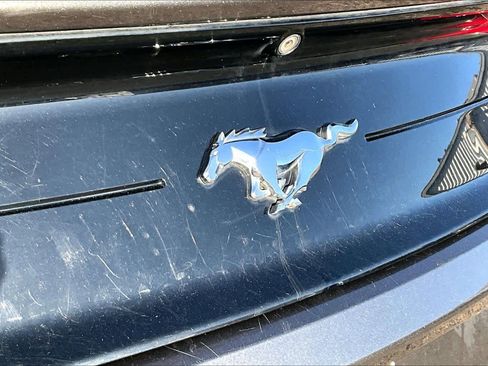 Used 2018 Ford Mustang Coupe w/ Equipment Group 101A image 30