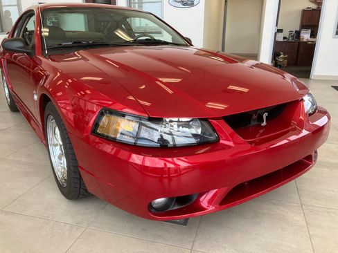 Used 2001 Ford Mustang Cobra RWD image 6