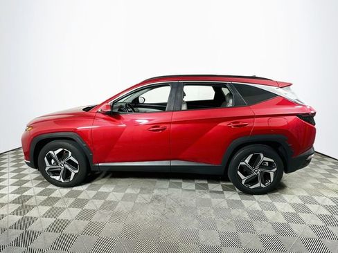 Used 2023 Hyundai Tucson SEL w/ Convenience Package FWD image 6