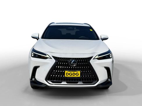 Used 2025 Lexus NX 350h AWD w/ Cold Area Package image 8