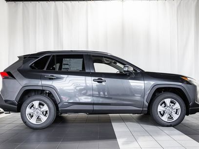 New 2025 Toyota RAV4 XLE