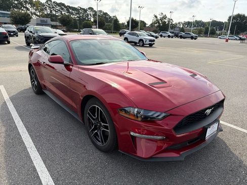 Used 2022 Ford Mustang Coupe w/ Equipment Group 101A RWD image 5