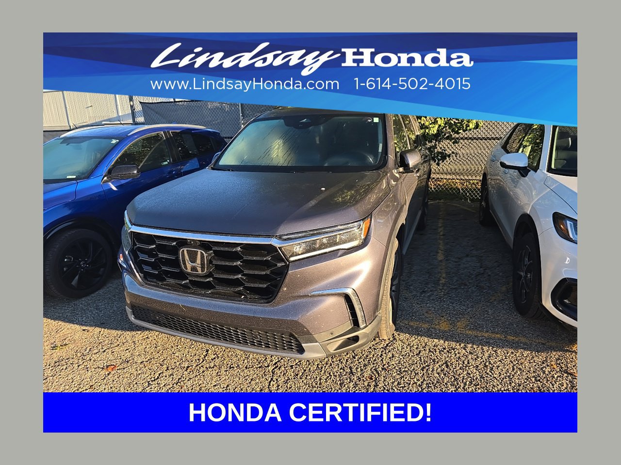 Used 2024 Honda Pilot Elite image 1