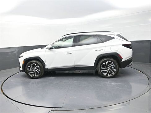 New 2026 Hyundai Tucson Limited image 5