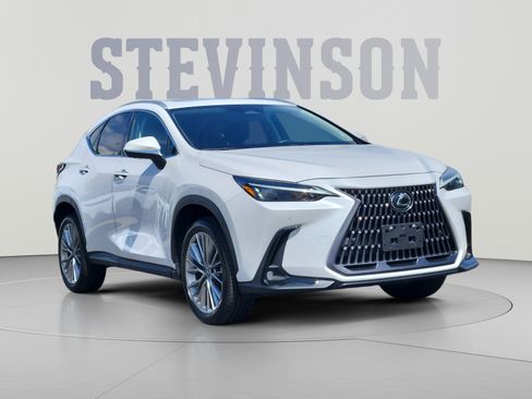 Used 2025 Lexus NX 350 AWD w/ Cold Area Package image 7