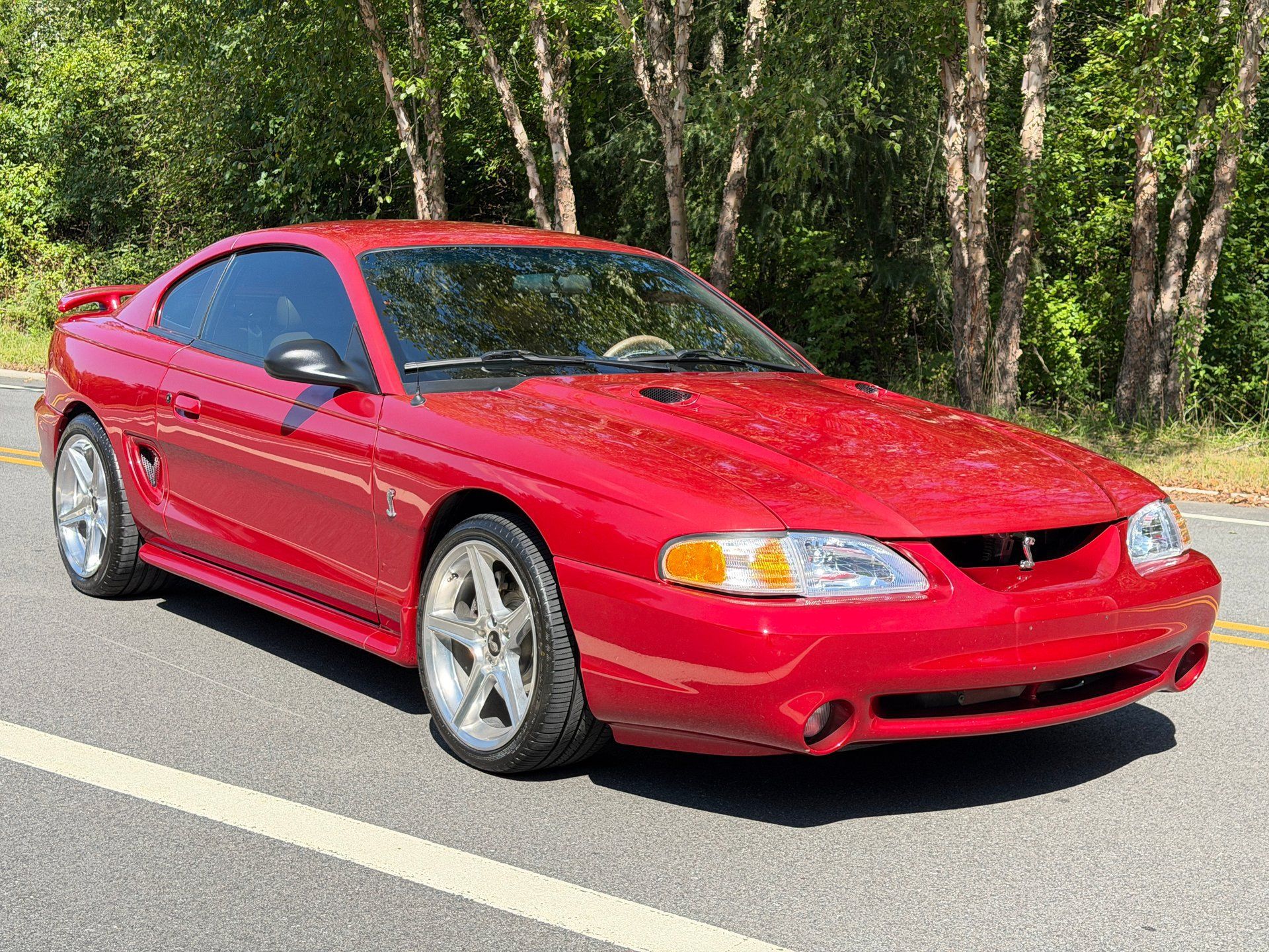 Used 1996 Ford Mustang Cobra RWD image 10