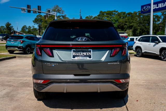 Used 2024 Hyundai Tucson Limited AWD/4WD image 5