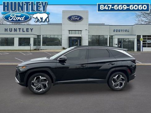 Used 2022 Hyundai Tucson Limited image 6