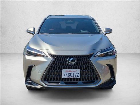 Used 2024 Lexus NX 350h AWD image 2