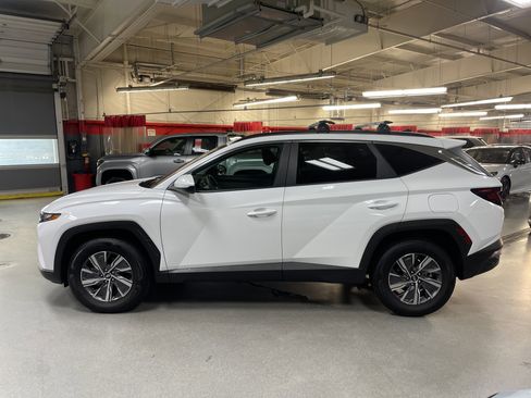 Used 2024 Hyundai Tucson Blue AWD/4WD image 5