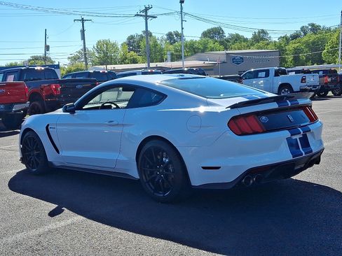 Used 2016 Ford Mustang Shelby GT350 w/ Technology Package image 7