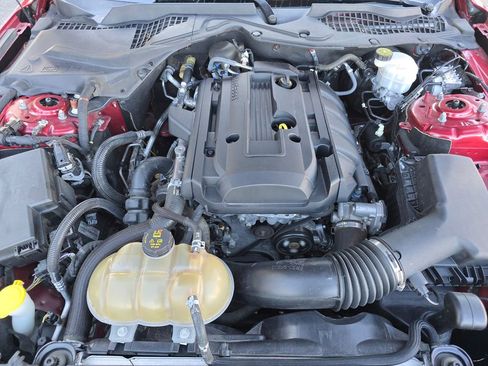 Used 2019 Ford Mustang EcoBoost image 23