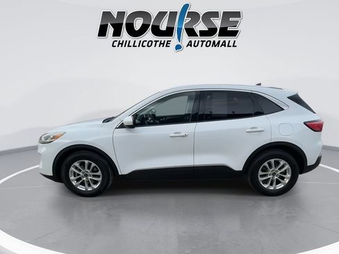 Used 2021 Ford Escape SE FWD image 5