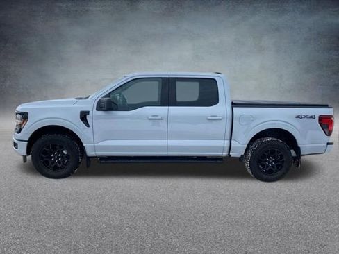 Used 2025 Ford F150 XLT w/ Equipment Group 301A Standard AWD/4WD image 14