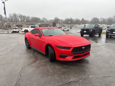 Used 2025 Ford Mustang Coupe RWD image 8