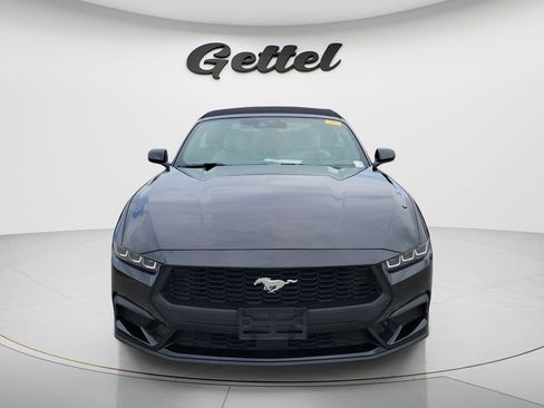 Used 2024 Ford Mustang Premium RWD image 2