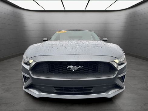 Used 2019 Ford Mustang Convertible image 8