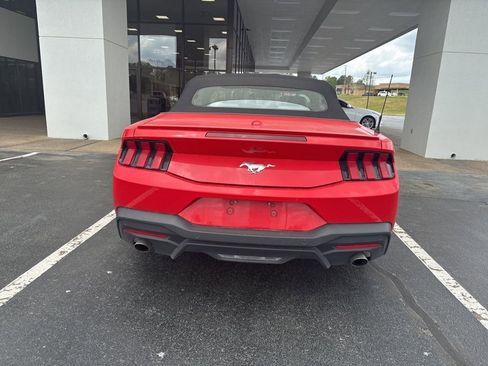 Used 2024 Ford Mustang Premium image 5