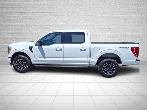 Used 2023 Ford F150 XLT w/ Equipment Group 302A High AWD/4WD image 8