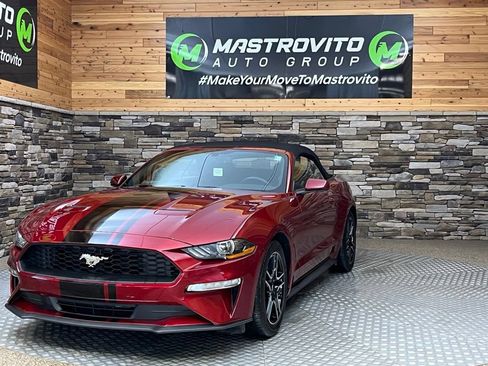 Used 2019 Ford Mustang Convertible w/ Equipment Group 101A RWD image 5