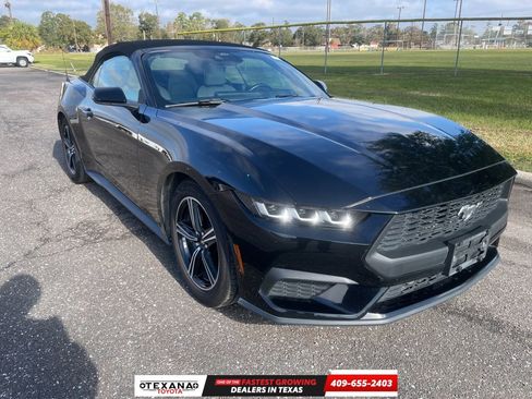 Used 2024 Ford Mustang Premium image 1