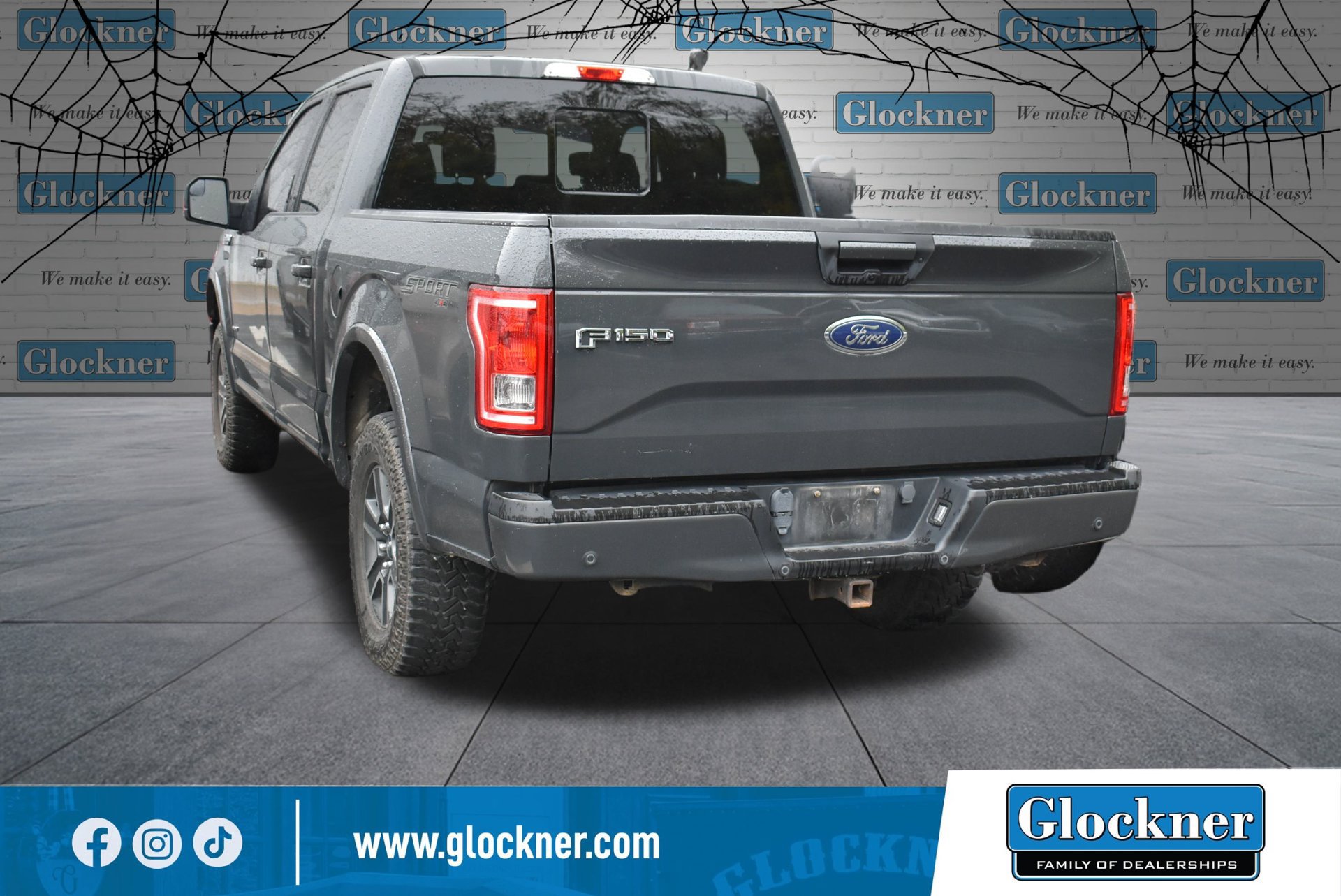 Used 2016 Ford F150 XLT w/ Equipment Group 302A Luxury AWD/4WD image 13