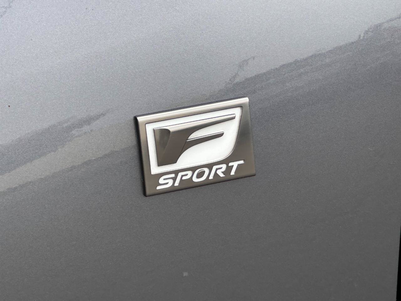 Used 2020 Lexus IS 300 F Sport w/ F Sport Package RWD image 7