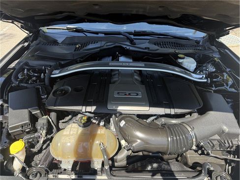 Used 2019 Ford Mustang GT w/ GT Performance Package RWD image 14