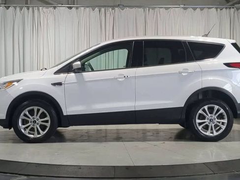 Used 2019 Ford Escape SE AWD/4WD image 6