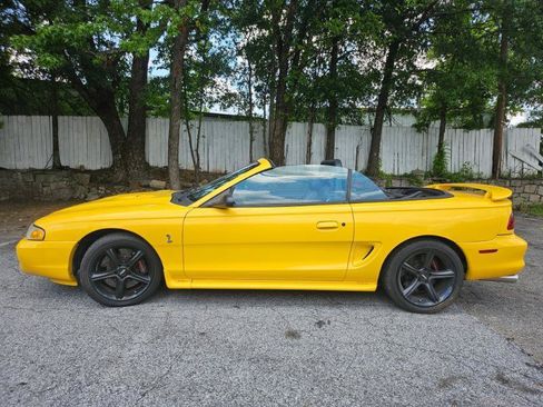 Used 1998 Ford Mustang Cobra RWD image 6