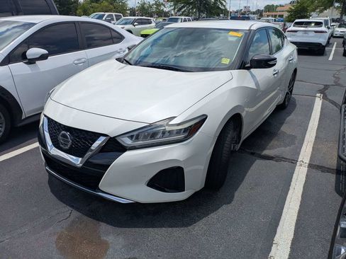 Used 2019 Nissan Maxima 3.5 SV w/ Floor Mat Group FWD image 3