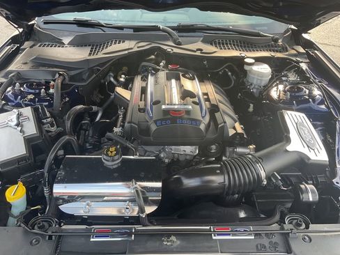 Used 2019 Ford Mustang Premium w/ Equipment Group 201A image 23