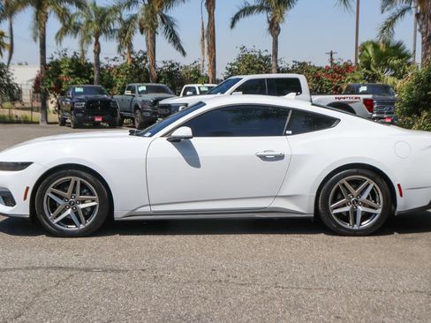 Used 2025 Ford Mustang Coupe RWD image 5