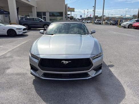 Used 2024 Ford Mustang Premium RWD image 2
