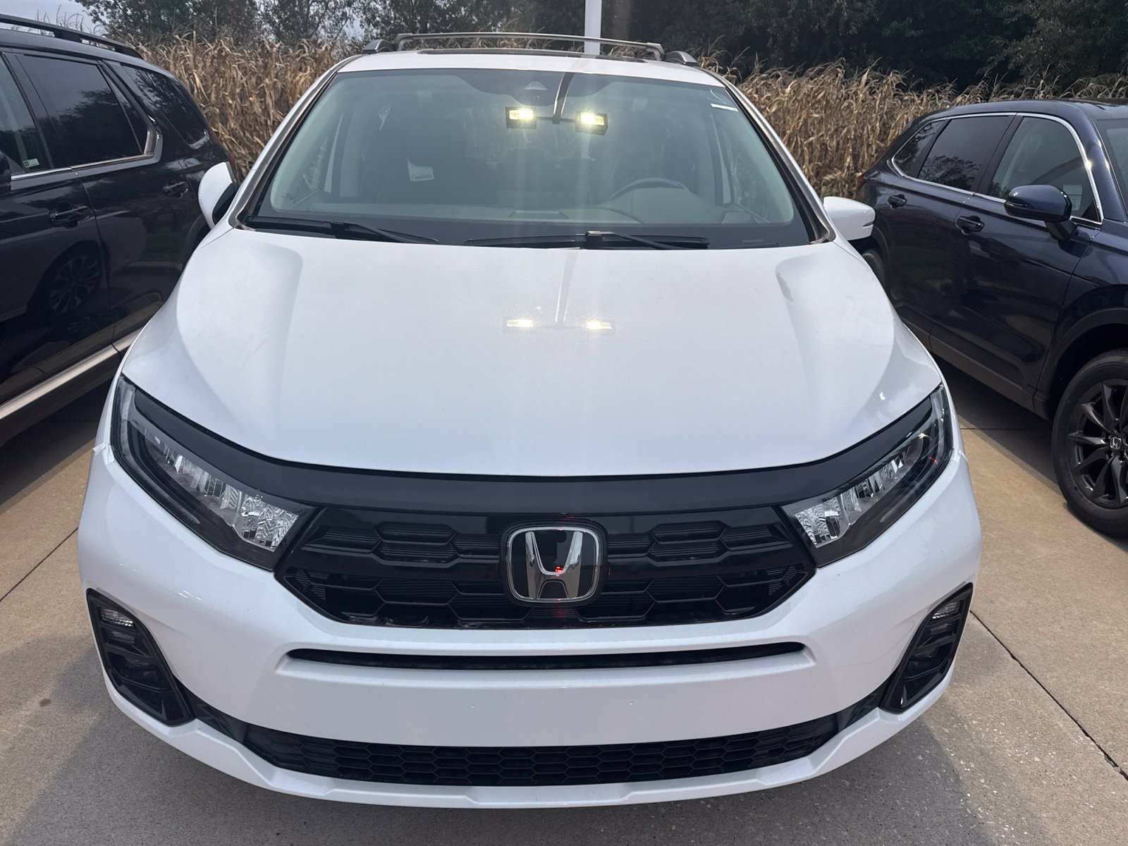 New 2026 Honda Odyssey Elite image 2