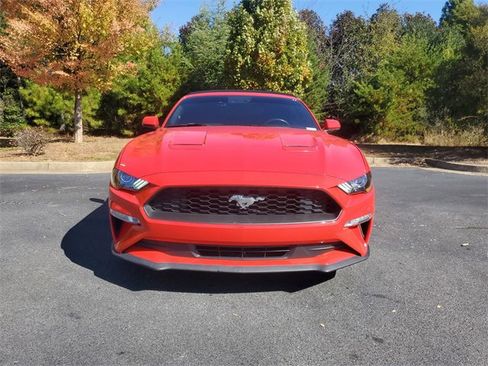 Used 2019 Ford Mustang Premium w/ Equipment Group 201A image 2