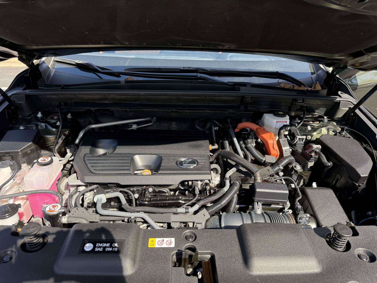Used 2024 Lexus NX 350h AWD w/ Cold Area Package image 28