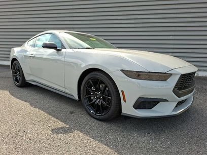 New 2026 Ford Mustang Coupe w/ Mustang Nite Pony Package