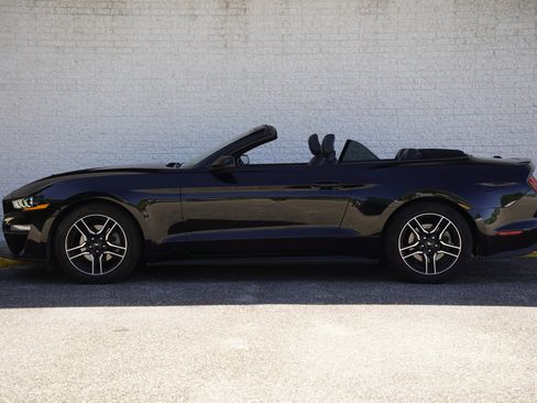 Used 2023 Ford Mustang Premium w/ Equipment Group 201A RWD image 5