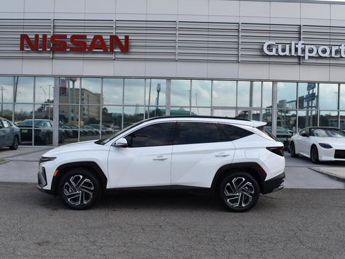 Used 2025 Hyundai Tucson Limited image 3