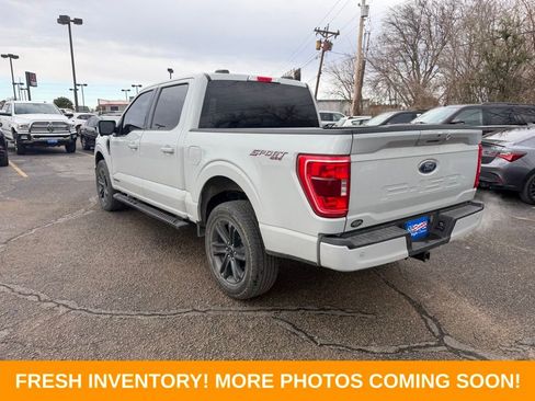 Used 2023 Ford F150 XLT w/ Equipment Group 302A High image 4