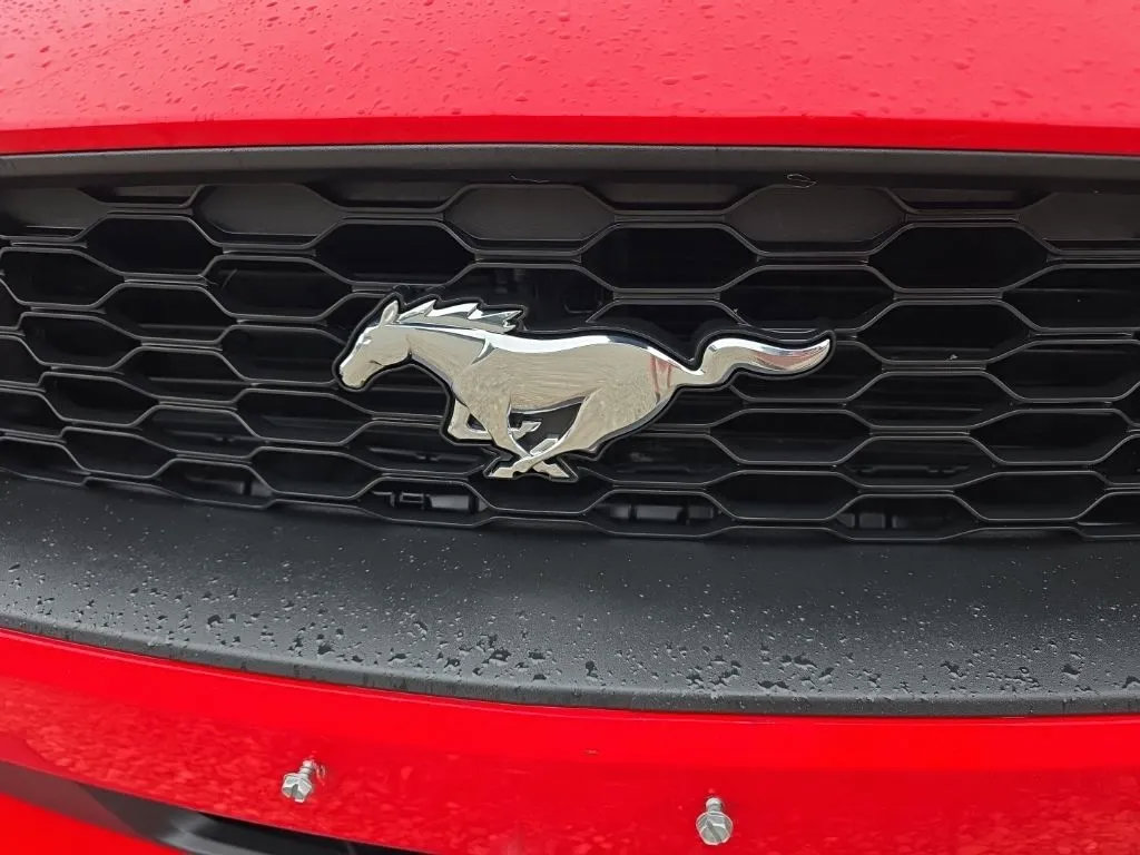 Used 2021 Ford Mustang Coupe RWD image 10