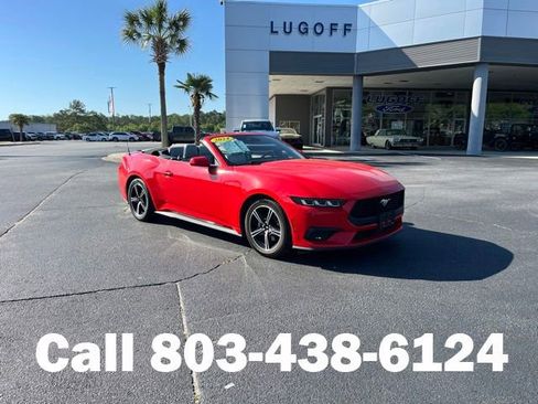 Used 2024 Ford Mustang Premium RWD image 1