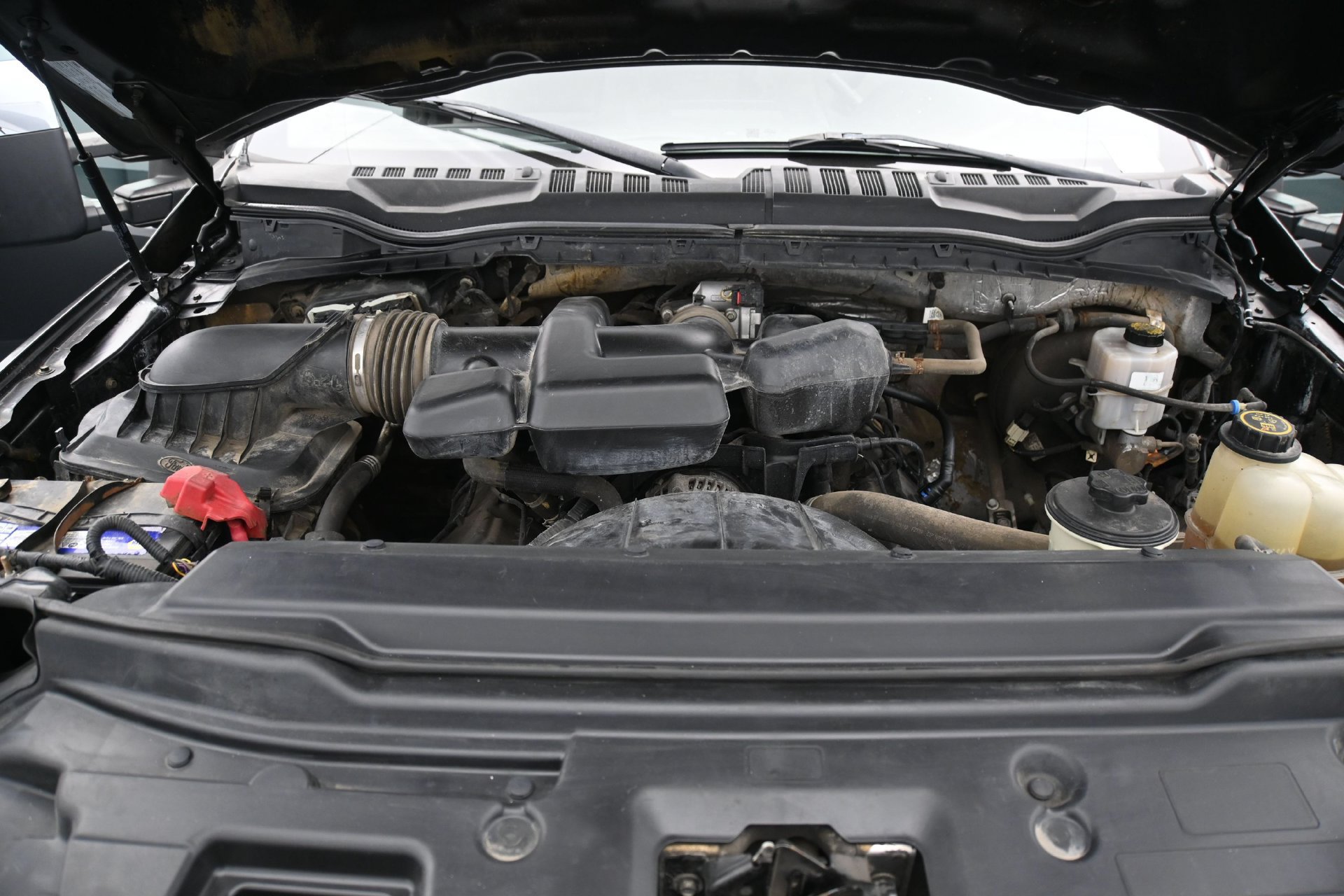 Used 2019 Ford F250 XLT w/ XLT Premium Package AWD/4WD image 28