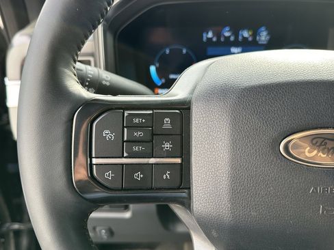 Used 2024 Ford F350 Platinum w/ Tremor Off-Road Package image 13