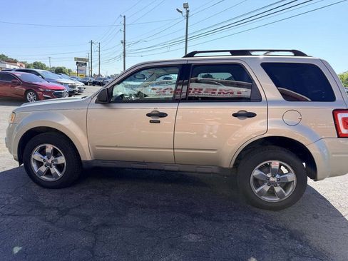 Used 2011 Ford Escape XLT w/ 203A Rapid Spec Order Code AWD/4WD image 3